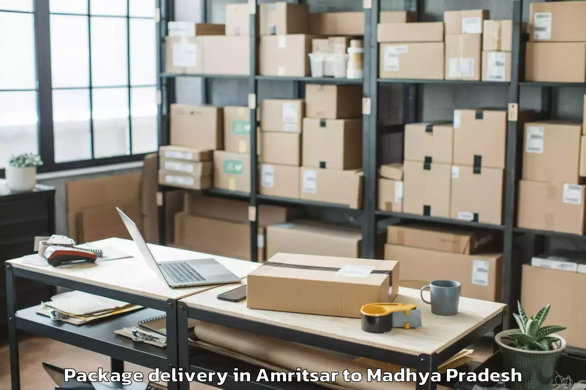 Professional Amritsar to Guna Airport Gux Package Delivery